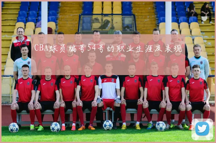 CBA球员编号54号的职业生涯及表现