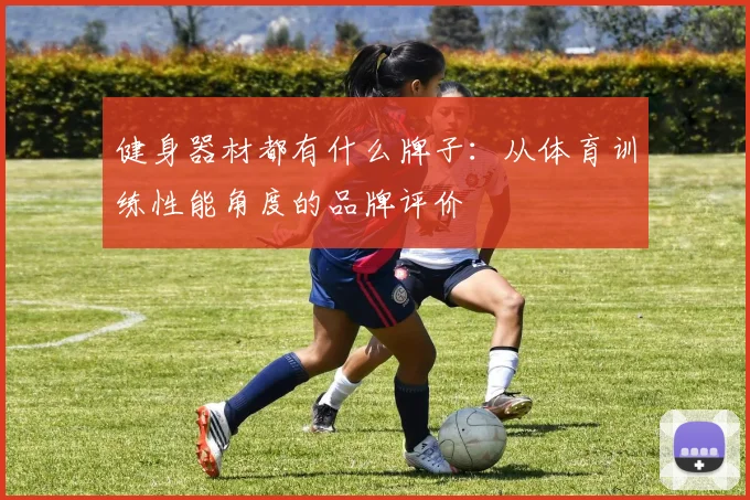 健身器材都有什么牌子：从体育训练性能角度的品牌评价