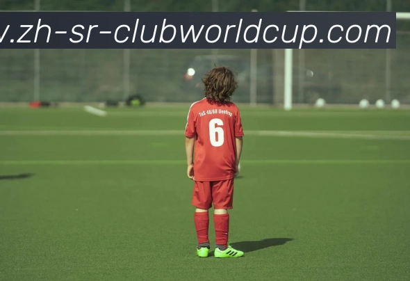 世界杯官网平台生态图