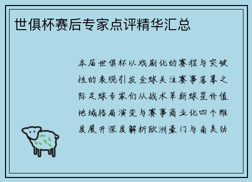 世俱杯赛后专家点评精华汇总